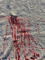 31/03/2025. Imprint of we/wind/cloth/marker relation