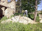 Removing entire ecosystems so man can build walls